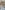 Corinthia London — photo 3