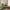 Corinthia London — photo 16