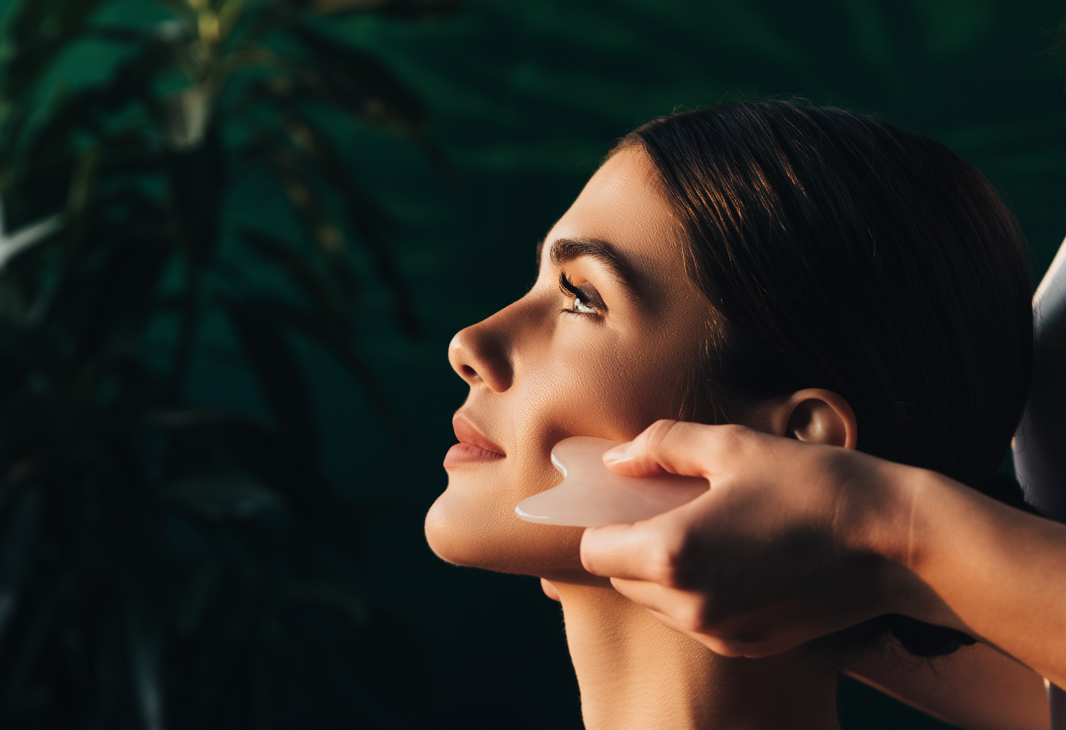 REGENERATIVE RADIANCE FACIAL