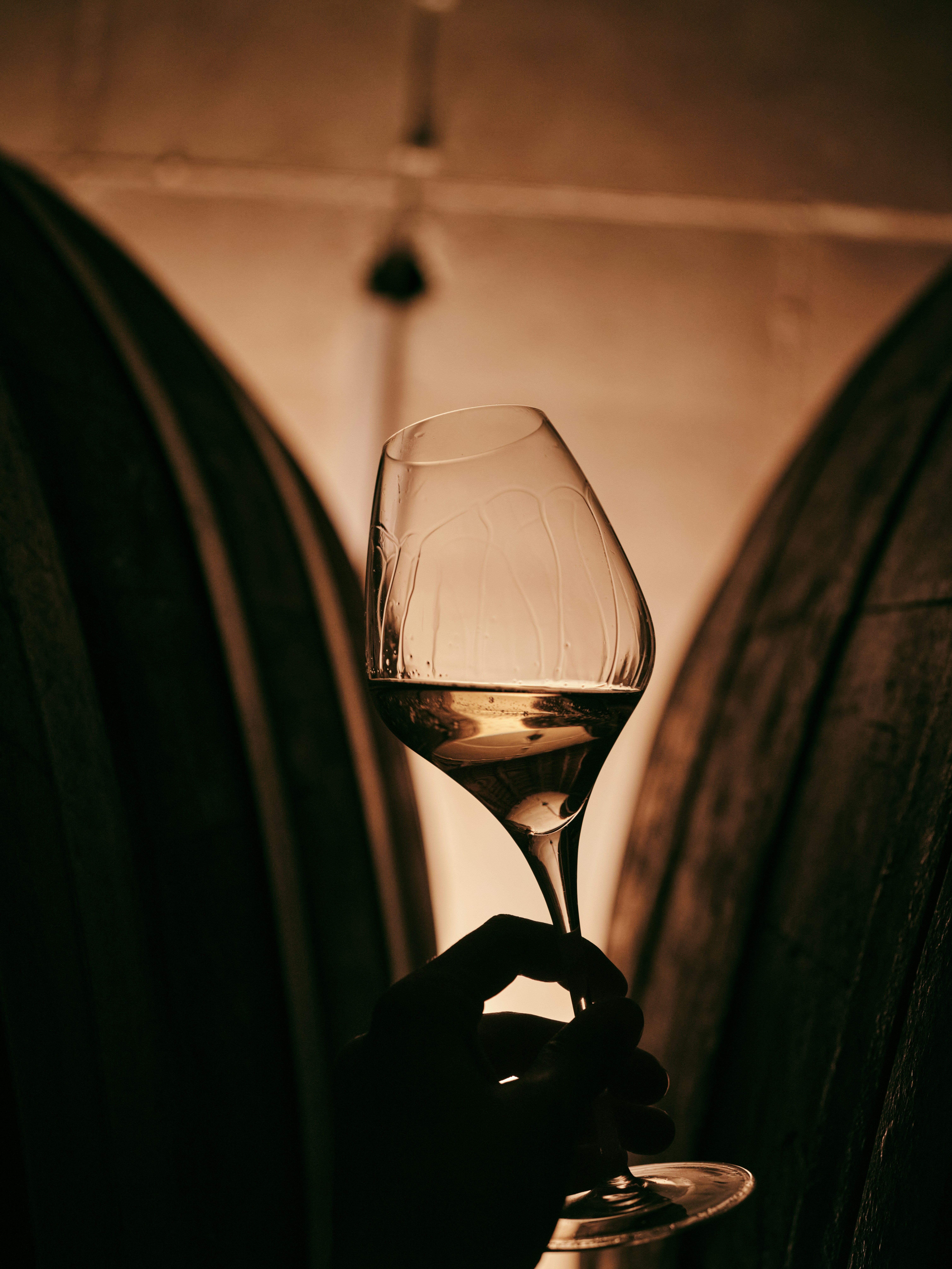 11 Decembrie: SERVE - Dealu Mare