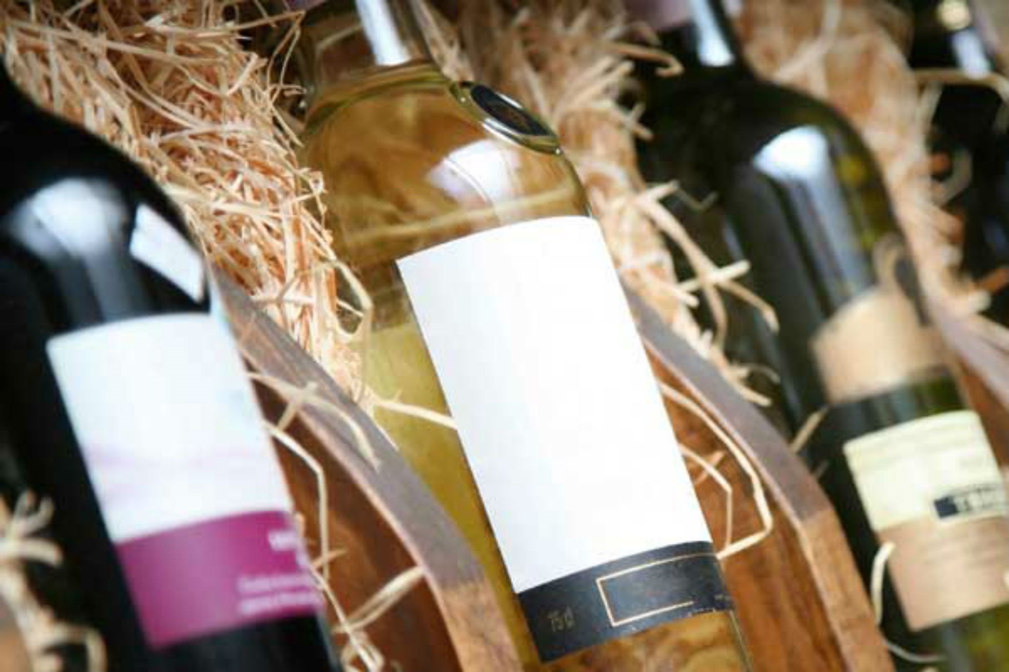 13 Noiembrie: Davino – Ceptura, Dealu Mare