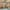 Navigation background