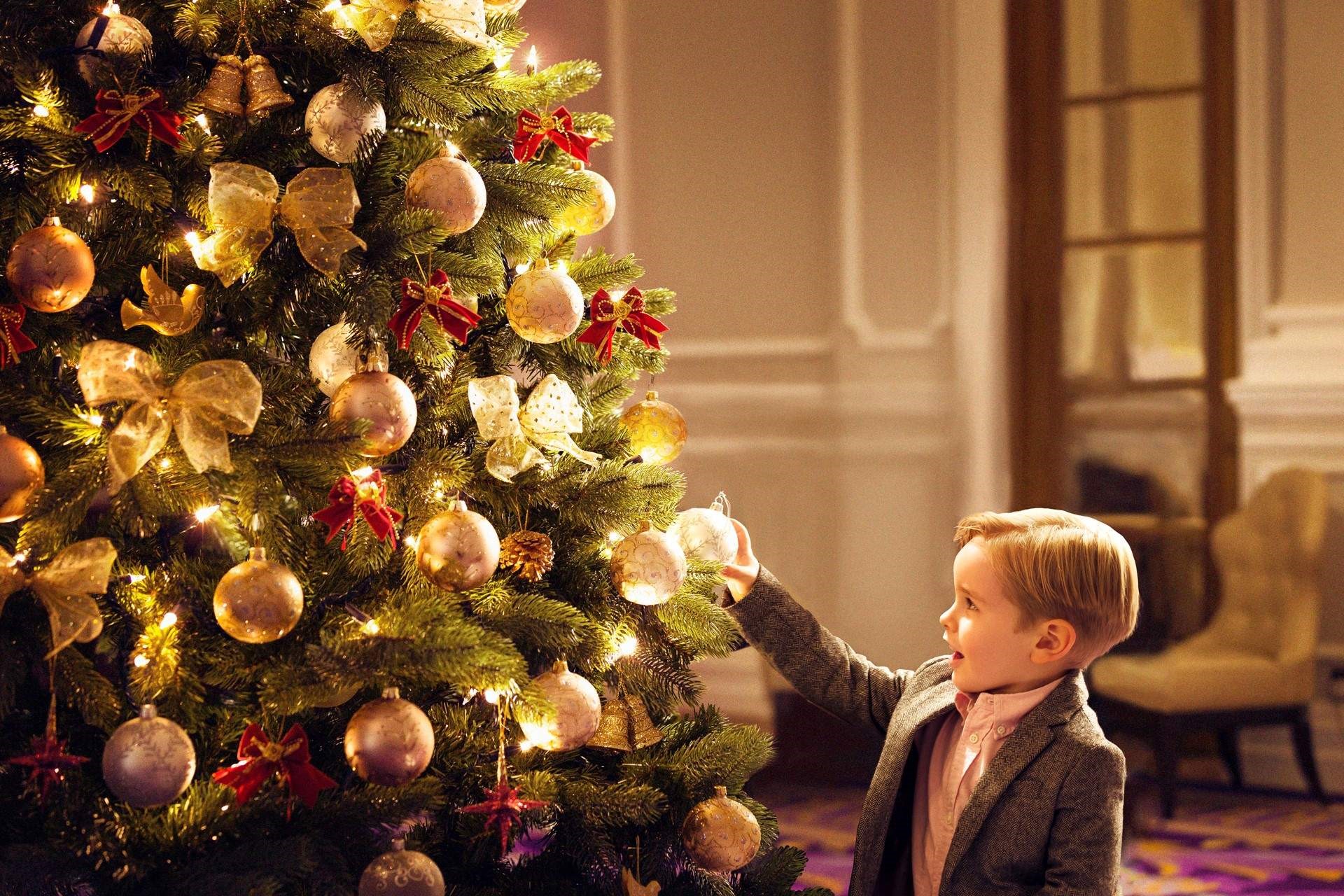 Little boy taking bauble from Christmas tree
