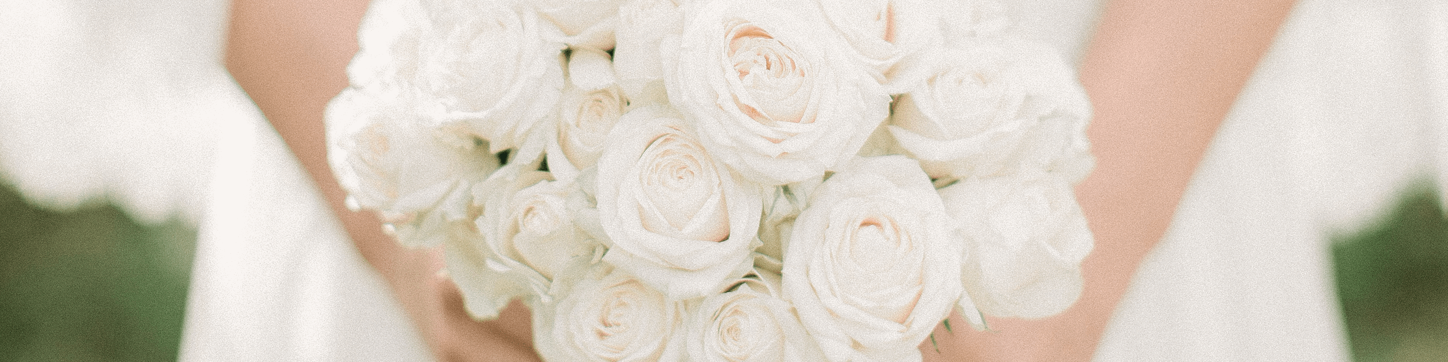 Woman holding bouquet of white roses