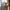 Corinthia London — photo 4